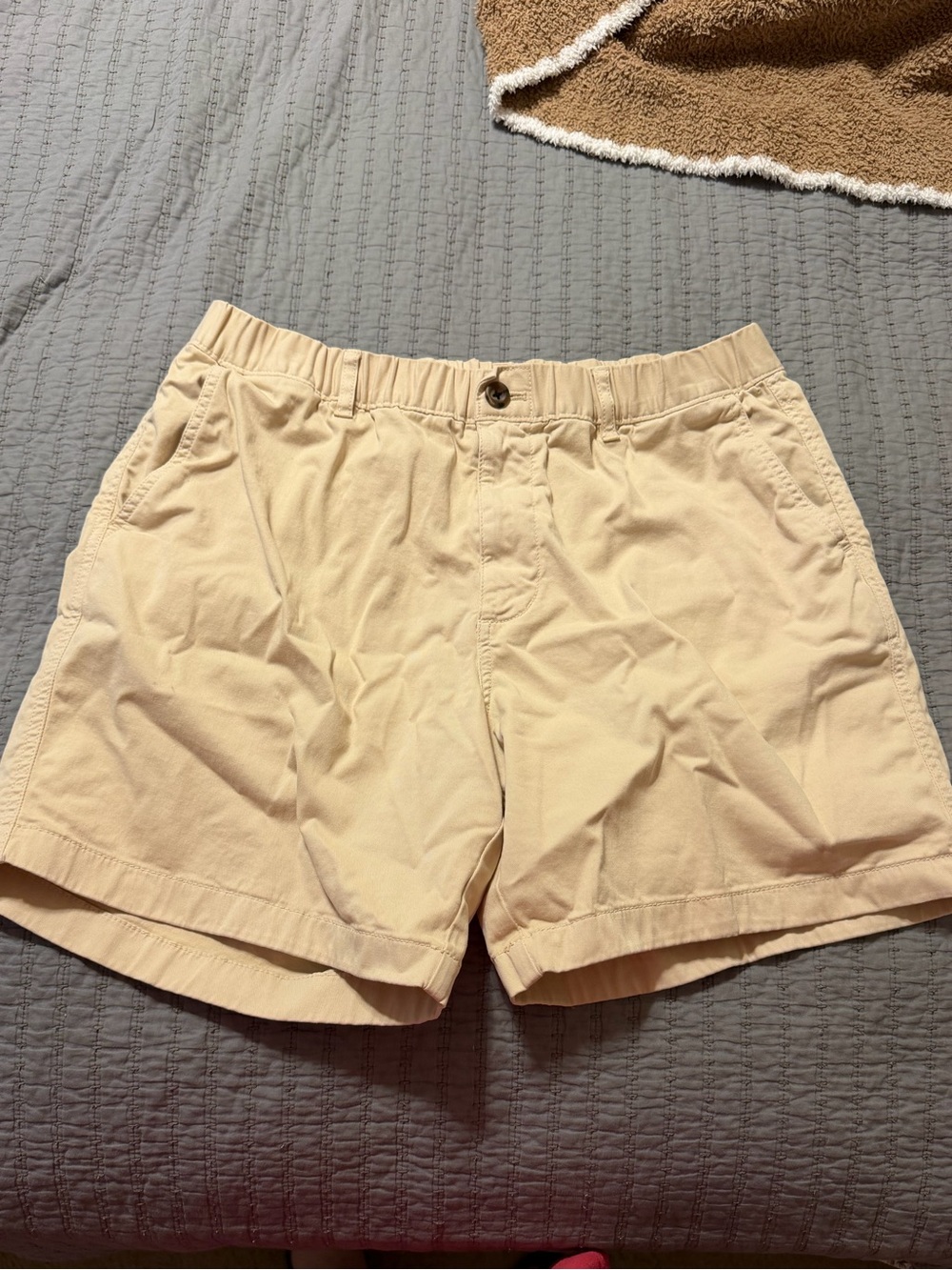 Bearbottom Men’s Stretch Shorts